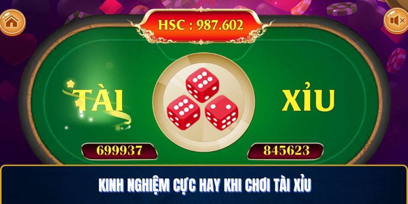 Nên bắt đầu với hình thức cược ổn định